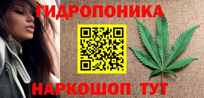 дживик Гусь-Хрустальный