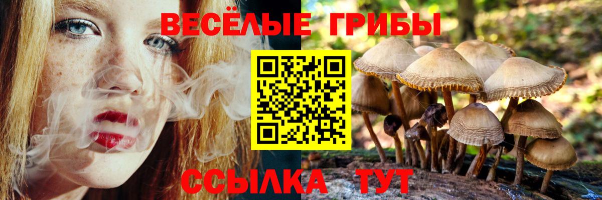 купить наркотики цена  Псилоцибиновые грибы Cubensis  Вход с VPN  Муром  Галлюциногенные грибы прущие грибы 