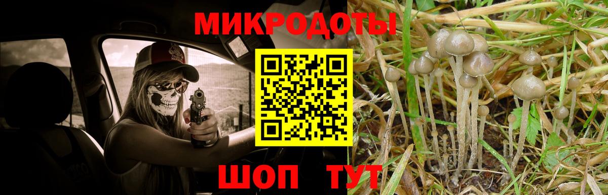 Псилоцибиновые грибы Psilocybine cubensis Муром